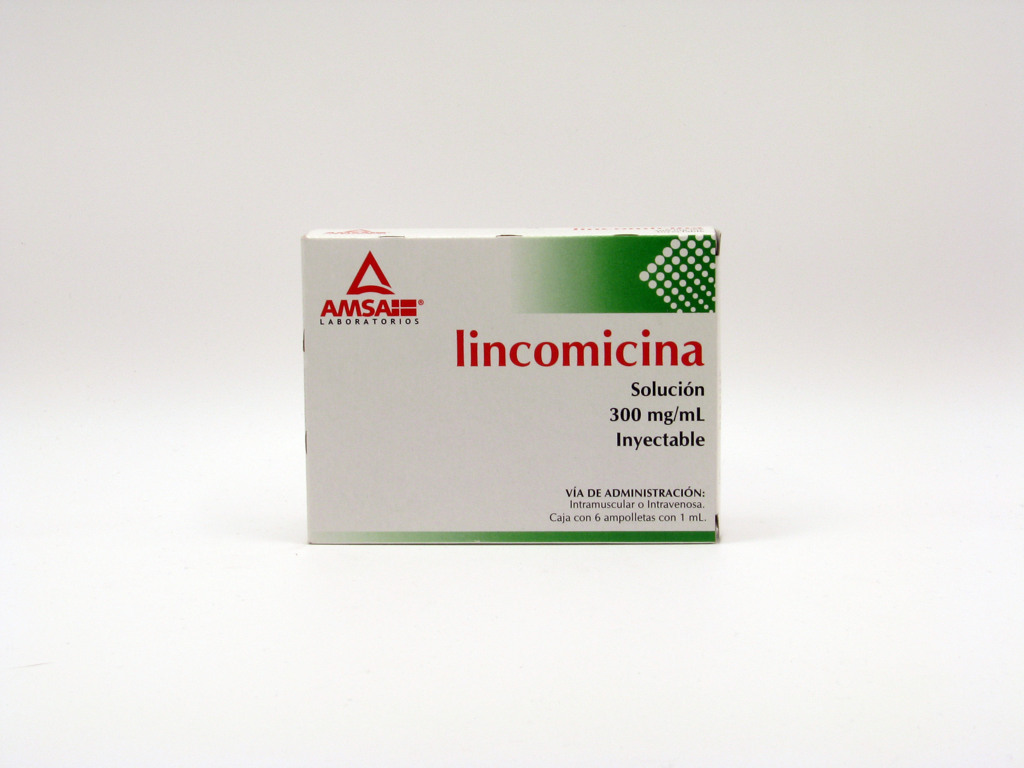 LINCOMICINA 300 MG